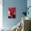 Red Cyclamen Abstract-Anna Miller-Photographic Print displayed on a wall