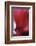 Red Cyclamen Abstract-Anna Miller-Framed Photographic Print