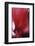 Red Cyclamen Abstract-Anna Miller-Framed Photographic Print