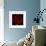 Red Dahlia on Black 01-Tom Quartermaine-Framed Giclee Print displayed on a wall