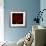 Red Dahlia on Black 01-Tom Quartermaine-Framed Giclee Print displayed on a wall