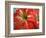 Red Day Lilly-Herb Dickinson-Framed Photographic Print