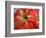 Red Day Lilly-Herb Dickinson-Framed Photographic Print