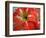 Red Day Lilly-Herb Dickinson-Framed Photographic Print