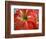 Red Day Lilly-Herb Dickinson-Framed Photographic Print