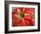 Red Day Lilly-Herb Dickinson-Framed Photographic Print