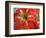 Red Day Lilly-Herb Dickinson-Framed Photographic Print