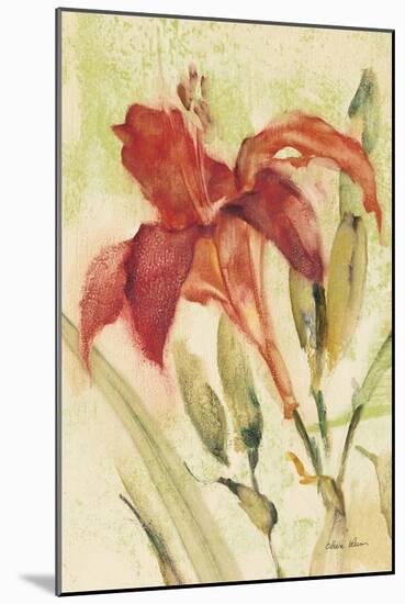 Red Day Lily-Cheri Blum-Mounted Art Print