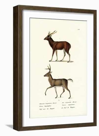 Red Deer, 1824-Karl Joseph Brodtmann-Framed Giclee Print