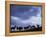 Red Deer Herd Silhouette at Dusk, Strathspey, Scotland, UK-Pete Cairns-Framed Premier Image Canvas