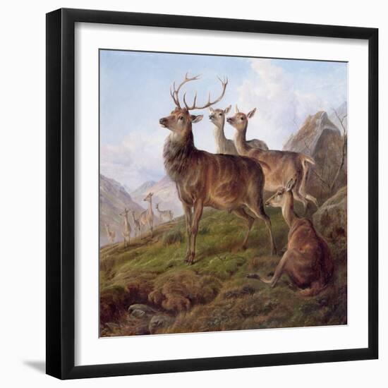 Red Deer in a Highland Landscape, 1872-Charles Jones-Framed Giclee Print