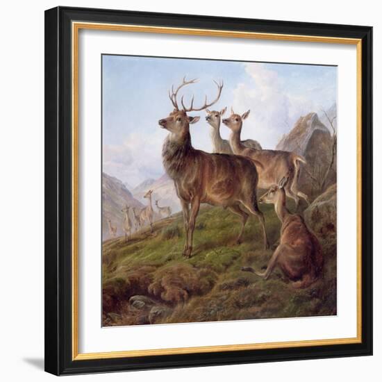 Red Deer in a Highland Landscape, 1872-Charles Jones-Framed Giclee Print