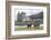 Red Deer, Lochranza, Isle of Arran, Scotland, United Kingdom, Europe-Ann and Steve Toon-Framed Photographic Print