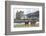 Red Deer, Lochranza, Isle of Arran, Scotland, United Kingdom, Europe-Ann and Steve Toon-Framed Photographic Print