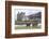 Red Deer, Lochranza, Isle of Arran, Scotland, United Kingdom, Europe-Ann and Steve Toon-Framed Photographic Print