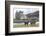 Red Deer, Lochranza, Isle of Arran, Scotland, United Kingdom, Europe-Ann and Steve Toon-Framed Photographic Print