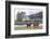 Red Deer, Lochranza, Isle of Arran, Scotland, United Kingdom, Europe-Ann and Steve Toon-Framed Photographic Print