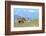 Red Deer, Red Deer-Reiner Bernhardt-Framed Photographic Print