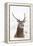 Red Deer Stag (Cervus Elaphus) Portrait in Snowy Moorland, Cairngorms Np, Scotland, UK, December-Mark Hamblin-Framed Premier Image Canvas