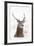 Red Deer Stag (Cervus Elaphus) Portrait in Snowy Moorland, Cairngorms Np, Scotland, UK, December-Mark Hamblin-Framed Photographic Print