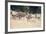 Red Deer Stag Herd in Summer Field Landscape-Veneratio-Framed Photographic Print