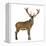 Red Deer Stag in Front of a White Background-Life on White-Framed Premier Image Canvas