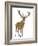 Red Deer Stag in Front of a White Background-Life on White-Framed Photographic Print