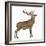 Red Deer Stag in Front of a White Background-Life on White-Framed Photographic Print