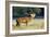 Red Deer Stag-Colin Varndell-Framed Photographic Print