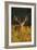 Red Deer Standing Amongst Braken in Beautiful-null-Framed Photographic Print