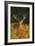 Red Deer Standing Amongst Braken in Beautiful-null-Framed Photographic Print