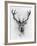 Red Deer-Alexis Marcou-Framed Art Print