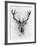 Red Deer-Alexis Marcou-Framed Art Print