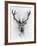 Red Deer-Alexis Marcou-Framed Art Print