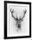 Red Deer-Alexis Marcou-Framed Art Print