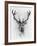 Red Deer-Alexis Marcou-Framed Art Print