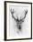 Red Deer-Alexis Marcou-Framed Art Print