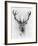 Red Deer-Alexis Marcou-Framed Art Print