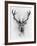 Red Deer-Alexis Marcou-Framed Art Print