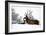 Red Deer-Reiner Bernhardt-Framed Photographic Print