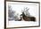 Red Deer-Reiner Bernhardt-Framed Photographic Print