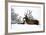 Red Deer-Reiner Bernhardt-Framed Photographic Print