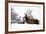 Red Deer-Reiner Bernhardt-Framed Photographic Print