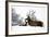 Red Deer-Reiner Bernhardt-Framed Photographic Print