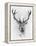 Red Deer-Alexis Marcou-Framed Stretched Canvas