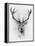 Red Deer-Alexis Marcou-Framed Stretched Canvas