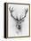 Red Deer-Alexis Marcou-Framed Stretched Canvas