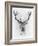 Red Deer-Alexis Marcou-Framed Art Print