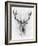 Red Deer-Alexis Marcou-Framed Art Print