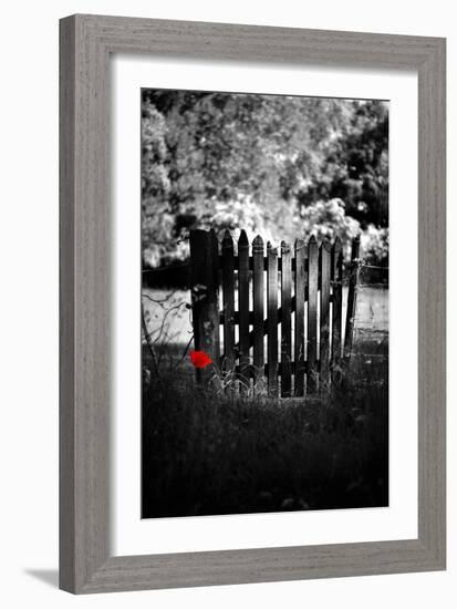 Red Detail-Philippe Sainte-Laudy-Framed Photographic Print